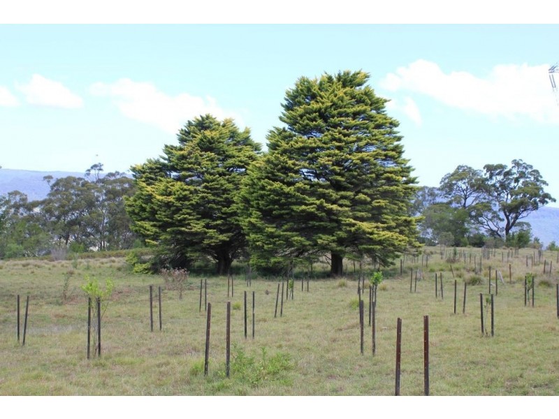 1730 Nowra Road, Kangaroo Valley NSW 2577