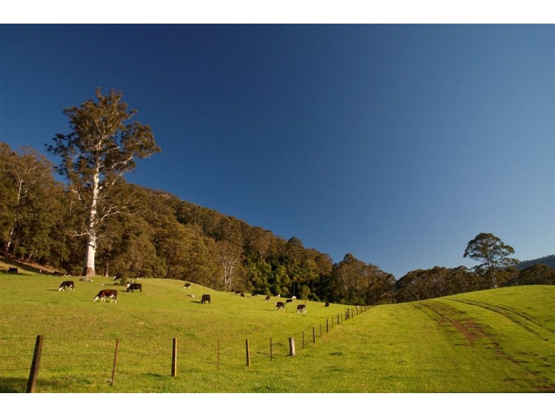 Lot 26 Bunkers Hill Road, Kangaroo Valley NSW 2577