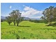 321 Mount Scanzi Road, Kangaroo Valley NSW 2577
