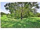 321 Mount Scanzi Road, Kangaroo Valley NSW 2577