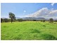 321 Mount Scanzi Road, Kangaroo Valley NSW 2577