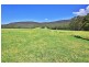 321 Mount Scanzi Road, Kangaroo Valley NSW 2577