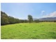 321 Mount Scanzi Road, Kangaroo Valley NSW 2577