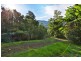 715 Wattamolla Rd, Kangaroo Valley NSW 2577
