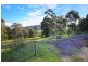476 Bugong Fire Trail, Kangaroo Valley NSW 2577