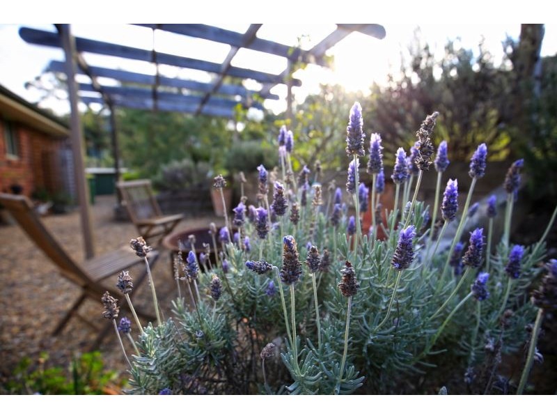 476 Bugong Fire Trail, Kangaroo Valley NSW 2577