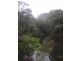 515 Tallowa Dam Road, Kangaroo Valley NSW 2577