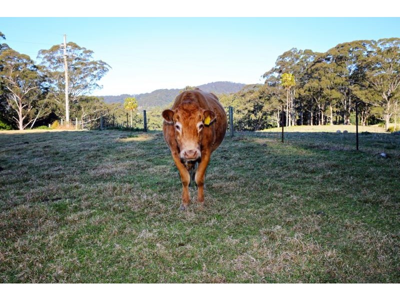 1045C Moss Vale Road, Kangaroo Valley NSW 2577