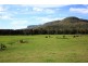 184 Glenmurray Road, Kangaroo Valley NSW 2577