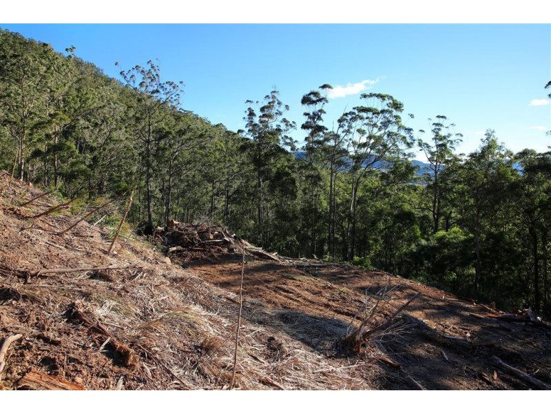 1361a Kangaroo Valley Road, Kangaroo Valley NSW 2577