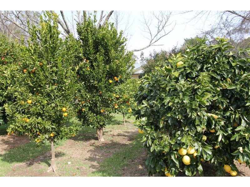 1089D Kangaroo Valley Rd, Kangaroo Valley NSW 2577