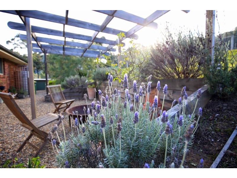 476 Bugong Fire Trail, Kangaroo Valley NSW 2577