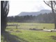 1426 Moss Vale Vale, Kangaroo Valley NSW 2577