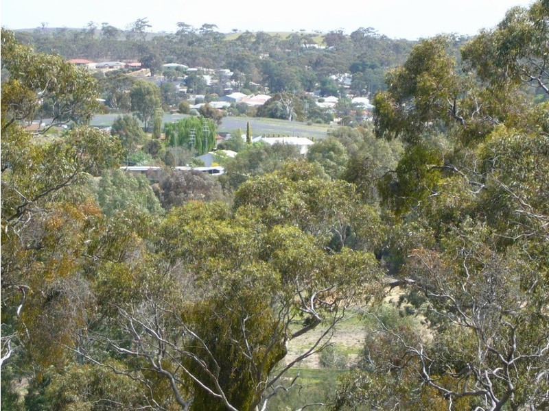 Lot 61 White Hutt Rd, Clare SA 5453