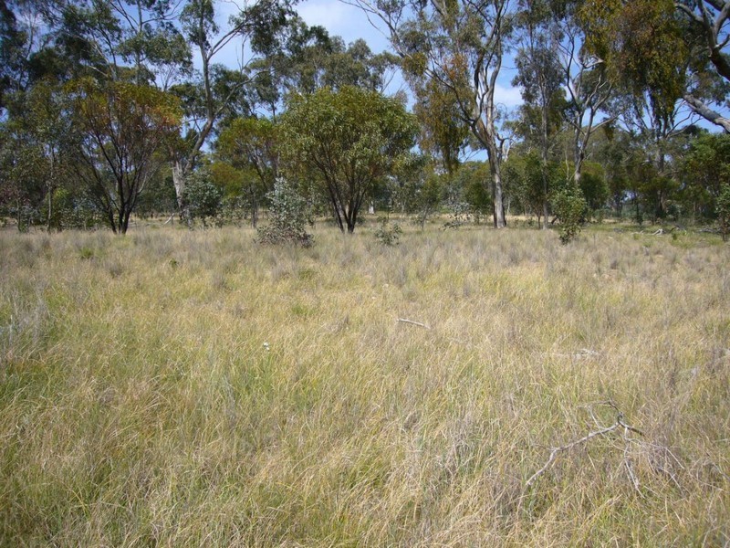 Lot 61 White Hutt Rd, Clare SA 5453