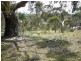 Lot 61 White Hutt Rd, Clare SA 5453