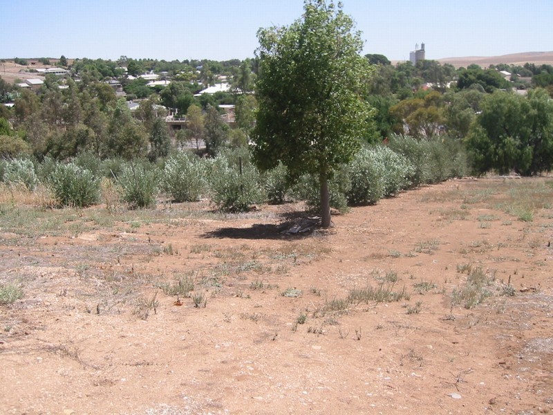 Lot 73 Crowan St, Burra SA 5417