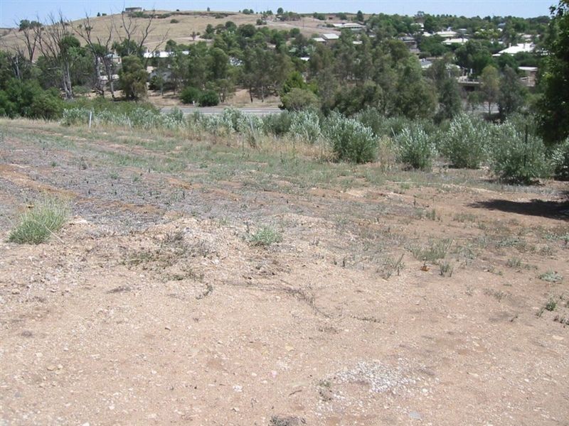 Lot 73 Crowan St, Burra SA 5417