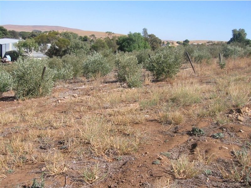 Lot 73 Crowan St, Burra SA 5417