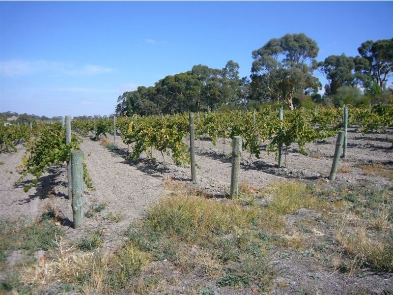 1 & 2 Main North Rd, Penwortham SA 5453