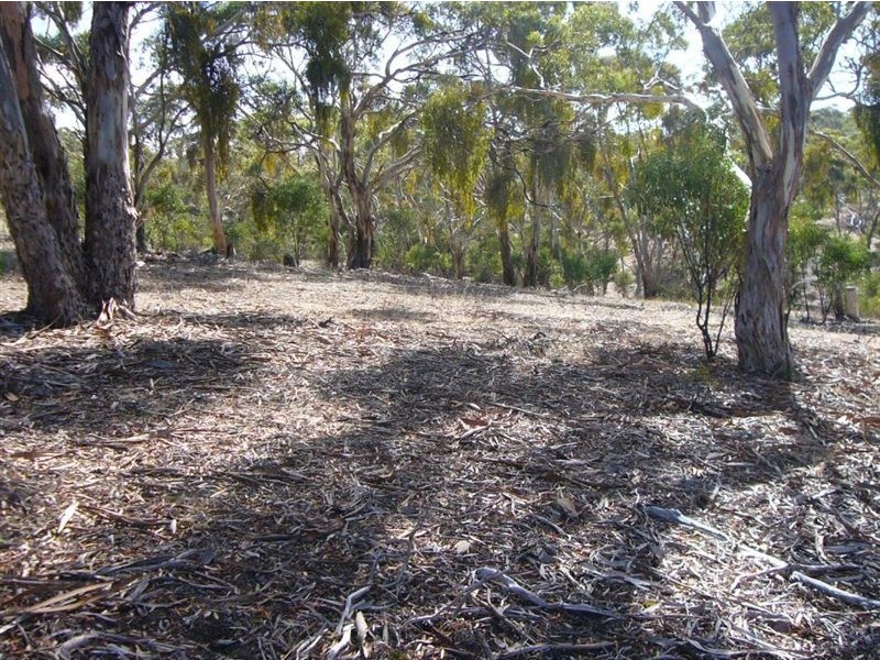 1 & 2 Main North Rd, Penwortham SA 5453