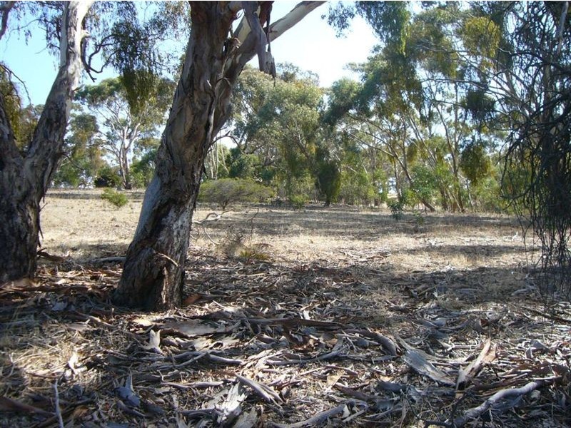 1 & 2 Main North Rd, Penwortham SA 5453