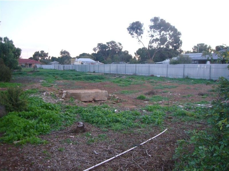 3 Sixth Street, Snowtown SA 5520