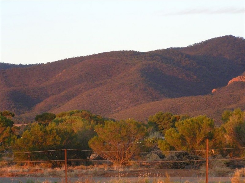 Lot 41 Blight Road, Nelshaby SA 5540