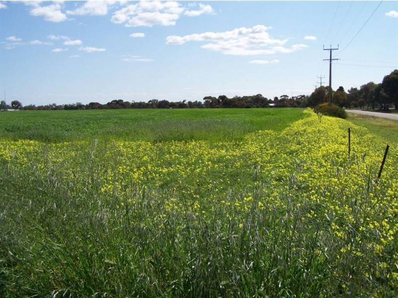 Lot 102 Kloppers Road, Crystal Brook SA 5523