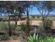 Sect 351 Abattoirs Road, Warnertown SA 5540