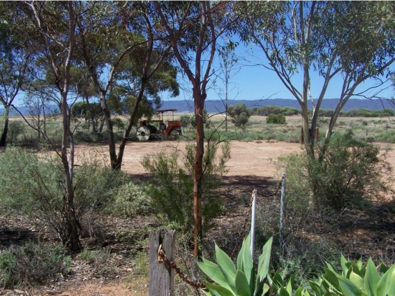 Sect 351 Abattoirs Road, Warnertown SA 5540