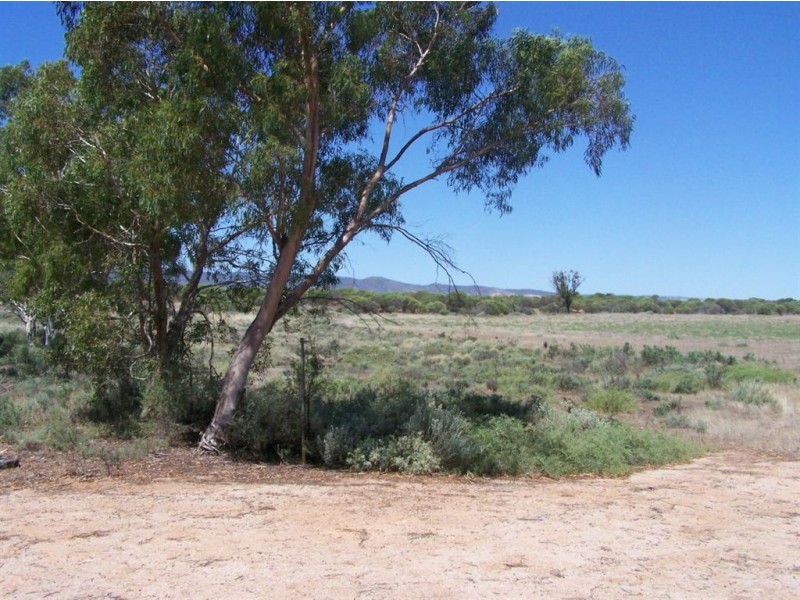 Sect 351 Abattoirs Road, Warnertown SA 5540