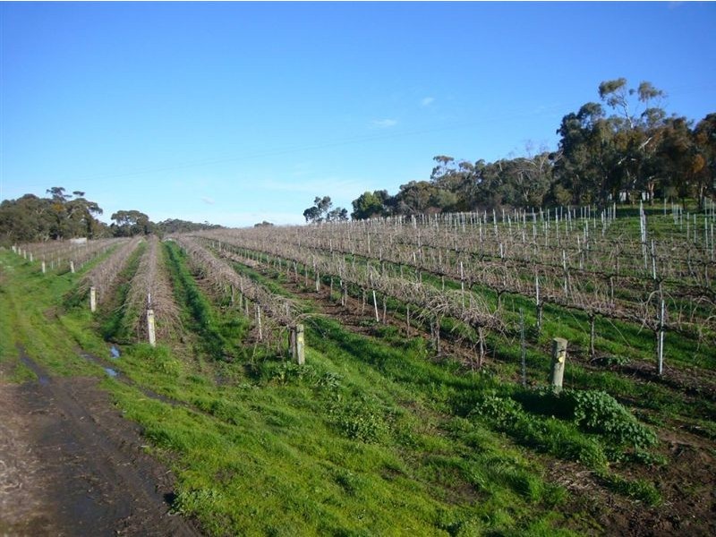 2 Quarry Road, Clare SA 5453