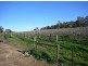 2 Quarry Road, Clare SA 5453