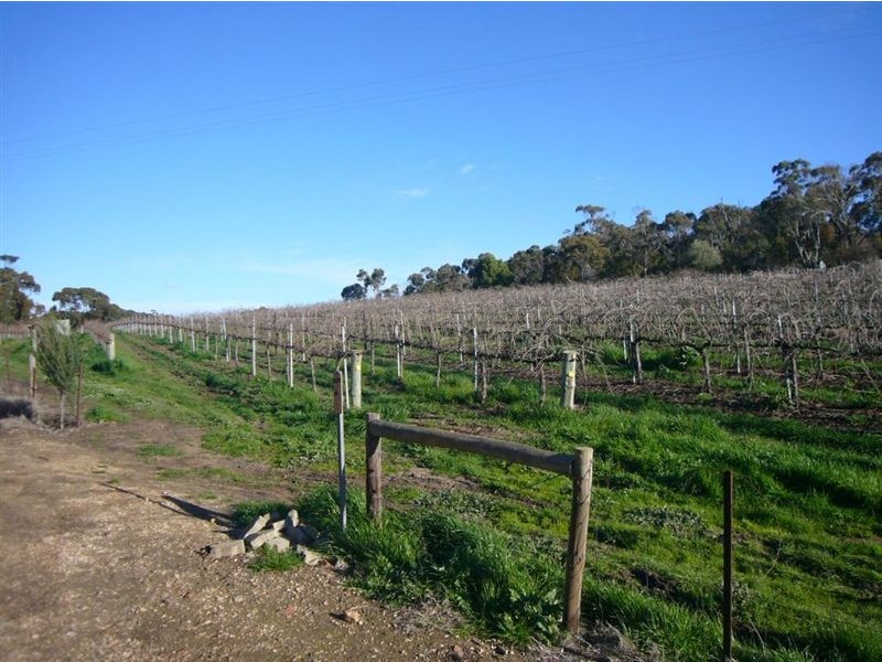 2 Quarry Road, Clare SA 5453
