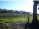 2 Quarry Road, Clare SA 5453