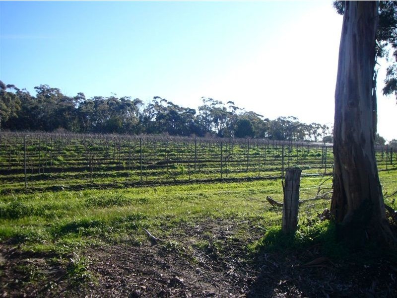 2 Quarry Road, Clare SA 5453