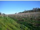 2 Quarry Road, Clare SA 5453
