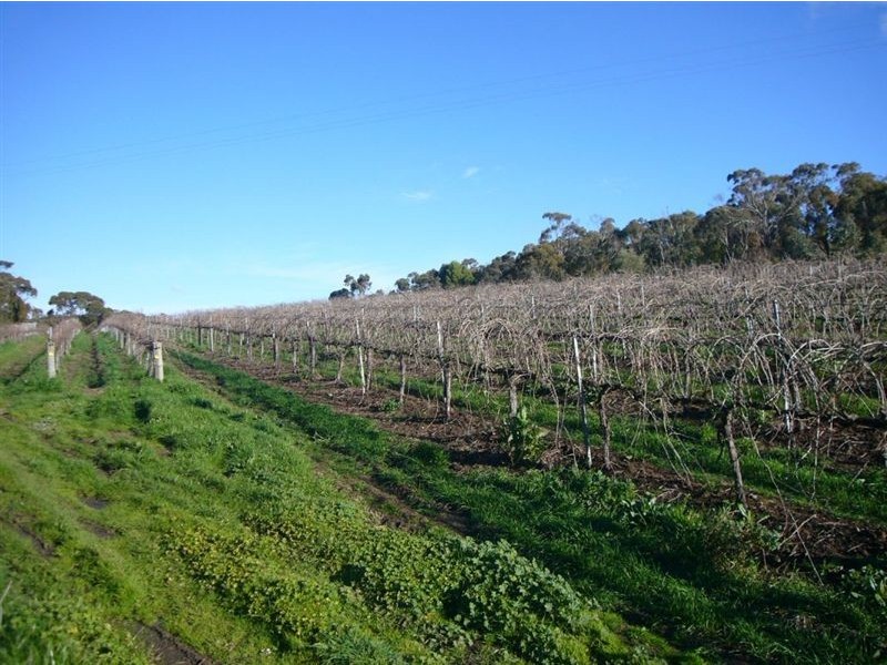 2 Quarry Road, Clare SA 5453
