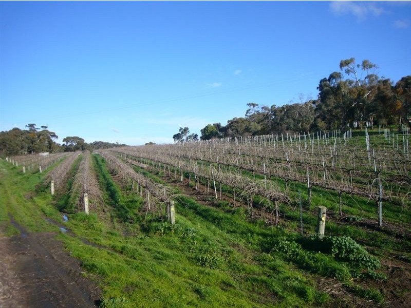 2 Quarry Road, Clare SA 5453