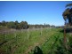 2 Quarry Road, Clare SA 5453