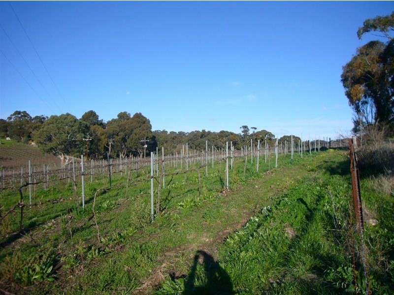 2 Quarry Road, Clare SA 5453