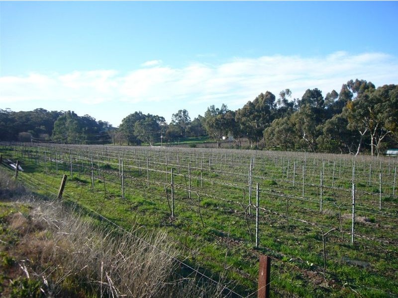 2 Quarry Road, Clare SA 5453