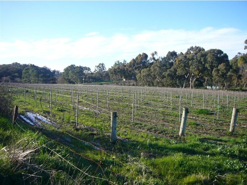 2 Quarry Road, Clare SA 5453