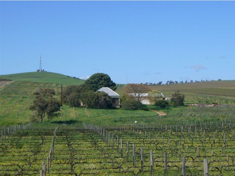 Sect 775 Main North Rd Leasingham, Watervale SA 5452