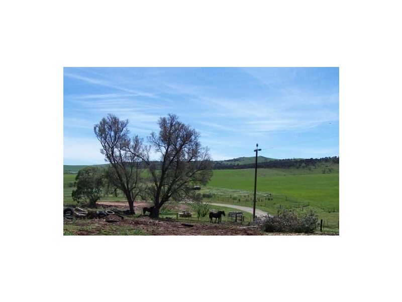Jamestown SA 5491