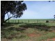 Jamestown SA 5491