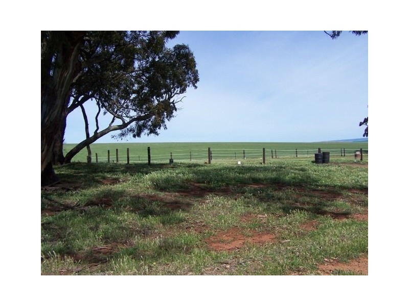 Jamestown SA 5491