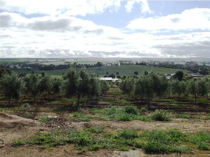3 West Street, Auburn SA 5451