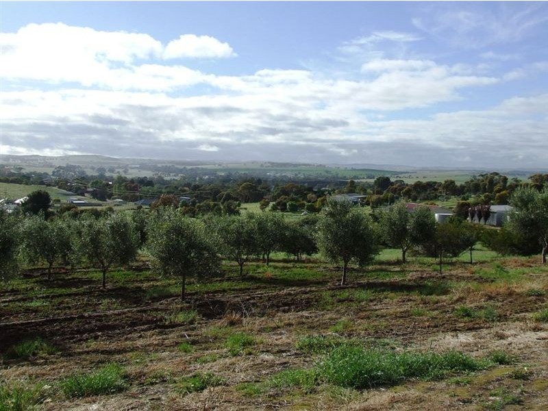 3 West Street, Auburn SA 5451